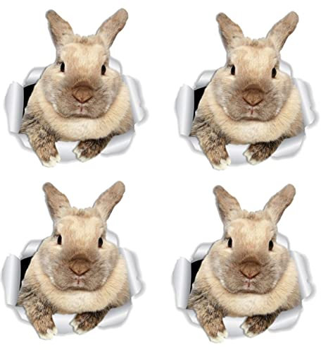 Warmhm Hase Aufkleber 4 Blätter Wandtattoo Kaninchen 3d 3d-cartoon-aufkleber Wandtattoo Osterkaninchen Häschen-fensteraufkleber 3d-fensteraufkleber Fenster Wandaufkleber Pvc Mach Es Selbst Karikatur