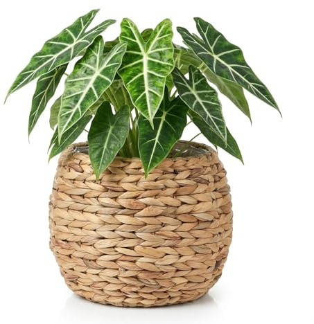 Cabilock Handwoven Hyacinth Planter Basket, Natural Woven Rattan Storage Basket for Small Plants, Eco-Friendly Indoor & Outdoor Decorative Pot Cover for Farmhouse, Boho Home Decor