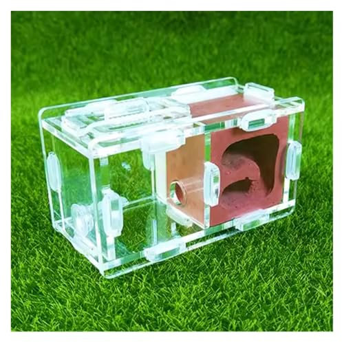HYKJCSS Ameisenfarm Insektenbedarf Ameisennest-Farm, Wissenschaftliches Experiment, Formicarium, Insektennest Für Wissenschaftliche Bildungswerkzeuge Ameisen Farm(Rood)