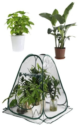 URPIZY Pop-up Piccola Serra per Piante Esterni e Interni Tenda Mini Serra Portatile con Copertura in PVC e Ferretti in Acciaio, 70 x 70 x 80 cm per Fiori, Fragole e Piante Grasse