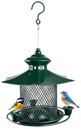 para Pájaros 41x20cm - De Metal Hierro Colgante, Alimentador De Aves Silvestres - para Colibrí Carbonero Pinzón Jardín Patio Porche Sendero Atrae Pájaros Exterior