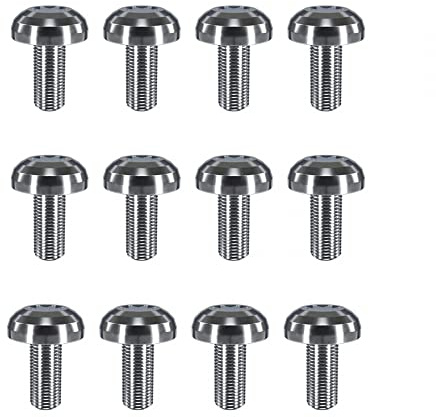 DONGKER Scheibenbremse Schrauben, 12 Stück M5 x 10 mm Titan Disc Rotor Bolt, Fahrrad Scheibenschraube für für Rennrad Mountainbike MTB