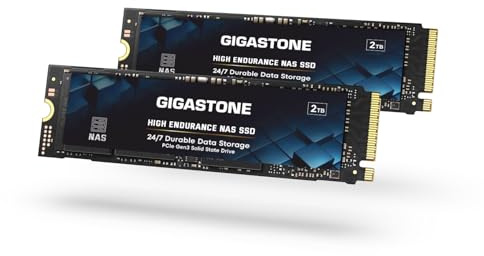 Gigastone SSD 2TB (2 pezzi) M.2 NAS SSD 24/7 Cache ad alta resistenza per archiviazione collegata alla rete Business Data Center Personal Cloud PCIe 3.0 NVMe NAS Unità a stato solido interna