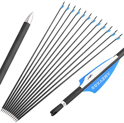 wolfman 32 Zoll Carbonpfeile für Bogenschießen 1000 Spine Carbon Pfeile Carbon Jagdpfeile Carbon Arrows mit 2 Zoll Plastikfeder für Pfeil Bogen Recurvebogen Compoundbogen (12Pcs, BAU Pfeile)