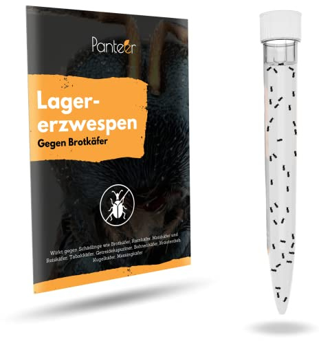 Panteer ® Lagererzwespen - 40 Nützlinge - Brotkäfer bekämpfen und Kornkäfer bekämpfen - Besser als Brotkäfer Falle - Zwei Arten für hohe und kühle Temperaturen - Made IN Germany (10 Stück)