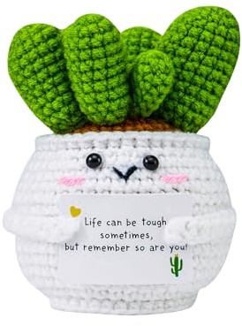 SZYBB Handmade Crochet Cactus Positive Crochet Crochet Gifts for Women Men Mom Teacher Gifts for Friendship Coworker Birthday Crochet Plant Office Desk Decor