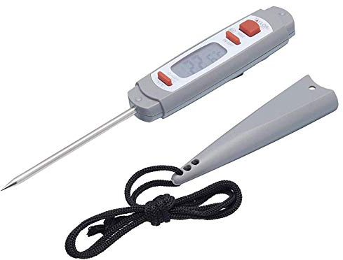 Taylor Pro Digital Kitchen Thermometer, Termómetro digital con sonda para temperatura de la carne, funda protectora antimicrobiana, pila incluida, gris, 18 cm, 1 unidades