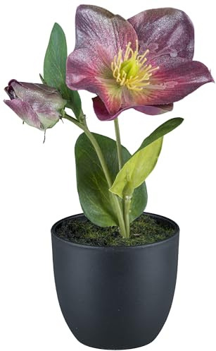 creativ home Kunstblume CHRISTROSE Schneerose, mit Blüte und Knospe im Topf. Ca 19cm. Lila, Amethyst