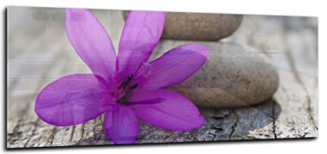 Canvasfly 100x40 Wandpaneele für Küche Deko-Spritzschutz für Küchenrückwand Glas Bilder Gehärtet Küchen-Deko Glasplatte aus Vorgespanntem Glas Küchenrückwandplatte Blume