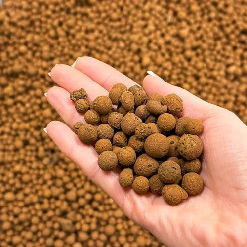 bhomescent Clay Pebbles for Hydroponics, Plant Pots & Orchids – LECA Balls for Drainage, Terrariums & Indoor Plants – Lightweight Expanded Clay Growing Media (10L)