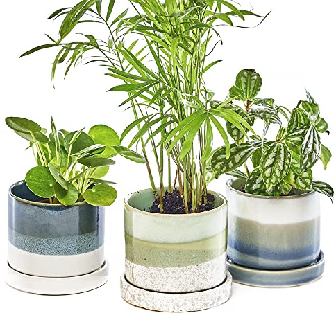 Chive 'Minute' Keramik-Blumentöpfe – Niedliche, schöne Töpfe für Blumen & Zimmerpflanzen Indoor & Outdoor – 3er Set – Grün & Blau