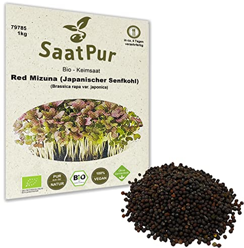 1Kg BIO Keimsprossen Japanischer Senf Red Mizuna Keimsaat für die Sprossenanzucht Sprossen Microgreens Mikrogrün