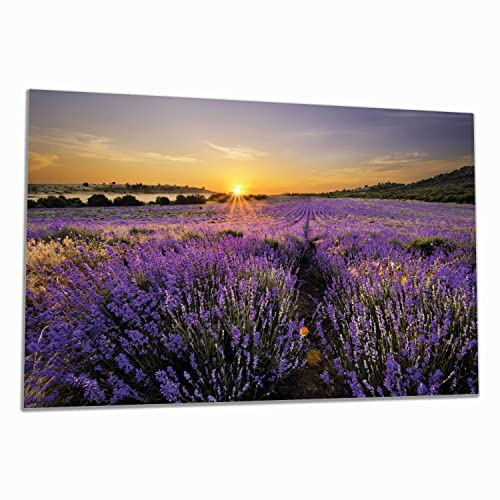 Wallario Herdabdeckplatte/Spritzschutz aus Glas, 1-teilig, 80x52cm, für Ceran- und Induktionsherde, Sonnenuntergang über dem Lavendel