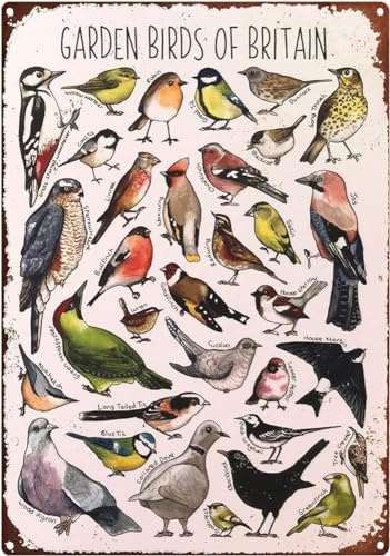 Metal Tin Signs Funny Garden Birds Stationery Letterbox Gift Vintage Metal Signs Funny