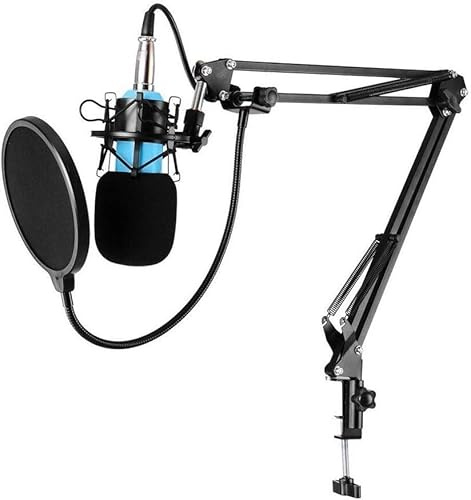 ELzEy Karaoke Studio Recording Cardioid Condenser Microphone Set Ktv Singing Condenser Music Microphone With Vocal Microphone