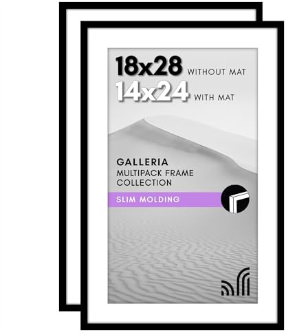 Americanflat 18x28 Poster Frame With Polished Plexiglass - Set of 2 - Use as 14x24 With Mat or 18x28 Without Mat - Galleria Collection - Gallery Wall Set for Wall Display - Black