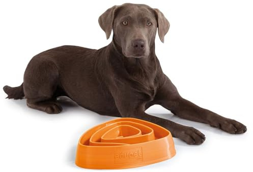 Edupet 06028AC foderskål, anti-sling skål, matskål, utfodrare slow utfodrare, för medelstora till stora hundar, 700 ml, diameter: 28,5 cm, orange