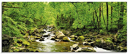 ARTland Wanddeko Glasbilder Wandbild Glas Bild einteilig 125x50 cm Querformat Natur Landschaft Wald Fluss Wasserfall Felsen Steine Bach T1YH