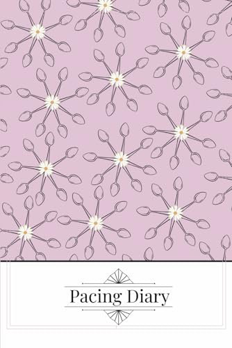 Pacing Diary 2025 - paperback notebook for people who struggle with energy, Long covid, MA