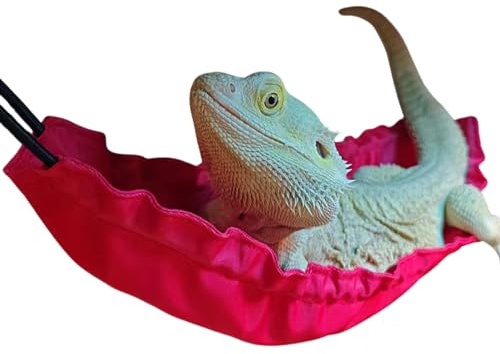 PUMEXFE Bartdrache Kletterspielzeug Hängematte Bett Reptilien Eidechse Liege mit Saugnäpfen Haken Schaukel Hängebett für Mini-Haustier, Gecko, Chamäleon, Schlangenbaum (M,Rot)