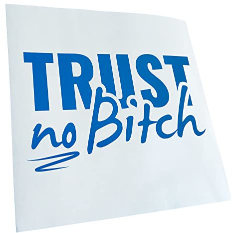 Kiwistar - Autoaufkleber - Blau - 16x10cm Trust no B - Vertrau keiner Tussi Aufkleber für Auto, Laptop, Fahrrad, LKW, Motorrad mehrfarbig JDM Decal Racing