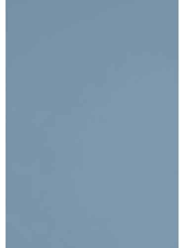 Netuno 100 Blatt Premium-Farbkarton Blau DIN A4 21 x 29,7 cm 225g Aster Color Misty Blue umweltfreundliches Bastelpapier farbig hochwertig für Einladungen Verpackungen Drucksachen kreative Projekte