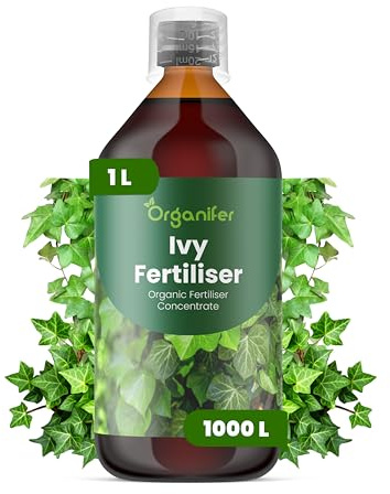 Engrais Liquide Pour Lierre - NPK 2-1-8 | Feuilles Saines Et Croissance Robuste - Stimule Racines Et Vitalité - 1L - Organifer