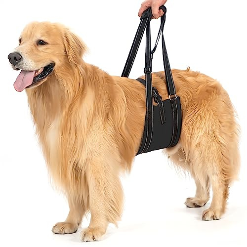 Avont Hunde Tragehilfe - Hundeschlaufe für große Hunde Hinterbeinstütze, Hebehilfe mit Griff und Gurt für Hüftdysplasie, Canines Lifter Support Harness for Elderly Dogs - Schwarz L
