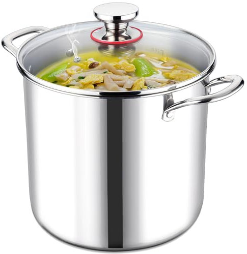 LIANYU Pentola da 12 litri con coperchio, pentola per zuppa in acciaio inossidabile da 18/10 12 QT, pentola per pasta grande a tre strati, pentola grande profonda per cucinare, pentola antiaderente a