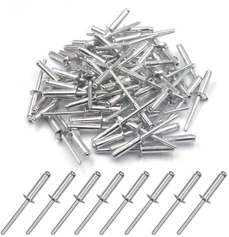 BESTYCHAO 100 Stück 4.8 x 19mm Aluminium-Blindnieten, Pop-Nieten mit offenem Ende, Packung mit 100 (Silber)