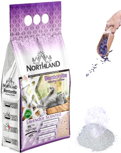 Katzenstreu 10L Lavendel Duft 99,9% Staubfrei | Bentonit Klumpstreu 8,5 kg Extra Stark Klumpend & Geruchsbindend für Katzentoilette - Viele Duftarten Auswahl