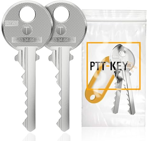 Générique Lot 2 Clés Pass PTT T10 identiques. Pour serrure boîte aux lettres et entrée d'immeuble - Barillet de boîte normalisée La Poste.