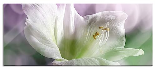 Quadro in vetro panoramico, da parete in vero vetro, delicato giglio bianco, 120 x 50 cm, con sospensione e distanziatore