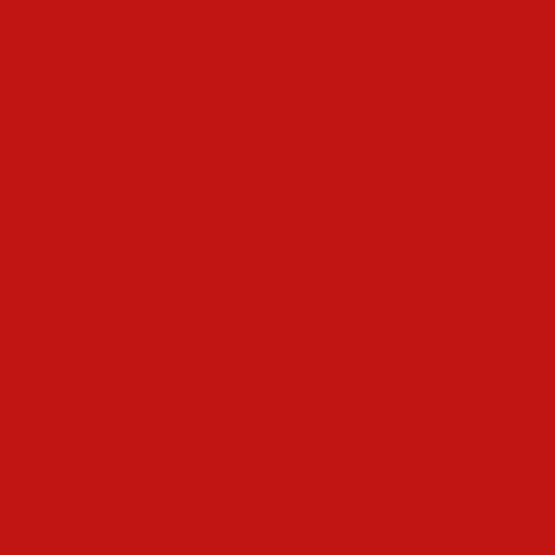 Farbige Acrylglasplatte A5 (210 x 148 x 3mm) 18 Farben und farblos zur Auswahl Kunststoffplatte klar transparent Plastik Hobby Acryl, Farbe:rot