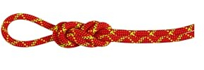 Mammut Unisex – Erwachsene 8.0 Alpine Core Protect Dry Rope 70m Kletterseil