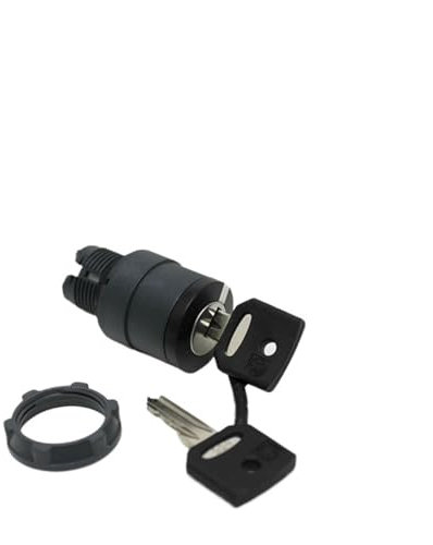 Interruttore a chiave a 3 posizioni 66811GT 66811