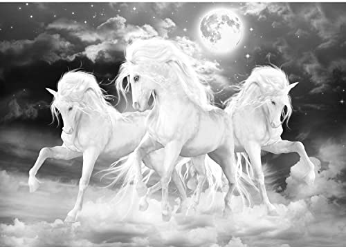 Runa Art Fototapeten 396 x 280 cm Einhorn Pferde Mond - Vlies Wanddekoration Wohnzimmer Schlafzimmer - Deutsche Manufaktur - Schwarz Weiss 9450012c