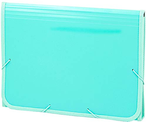 Klassifizierungsmappe Folio Grün Pastel Soft