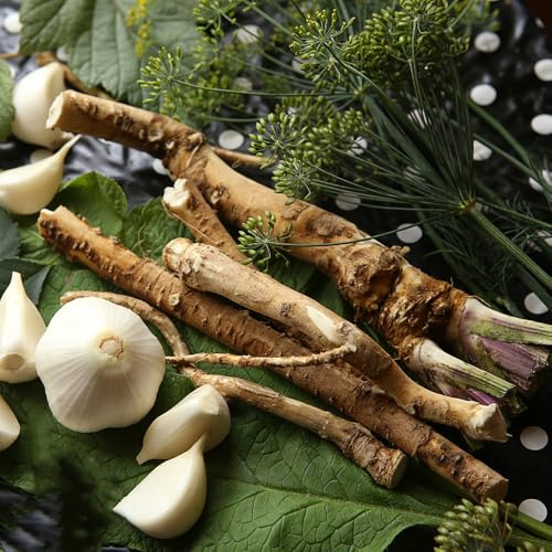 semi di rafano biologici - resistenti, giardino perenni 150pcs