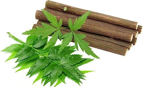 Neem Datun 15 bastoncini da masticare di Neem Datun orale a base di erbe per denti e pulisci lingua
