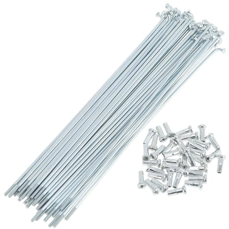 A ABSOPRO Set da 36 Raggi per Bicicletta 14G, Raggi per Ruota Bici in Acciaio al Carbonio Zincato, tonalità Argento