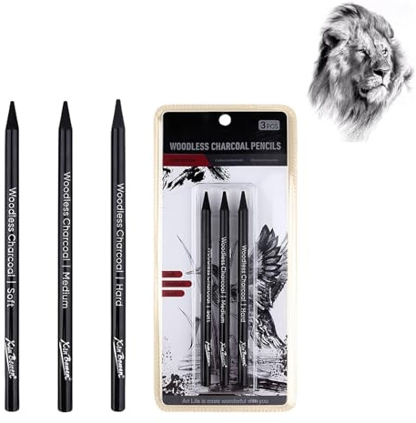 Hyleon Charcoal Pencils for Artists, Drawing Pencils for Professionals And Artists, 3Pcs Charcoal Pencil Graphite Stick, Black Art Pencil for Rich Shading, Drawing & Art, DIY Sketching