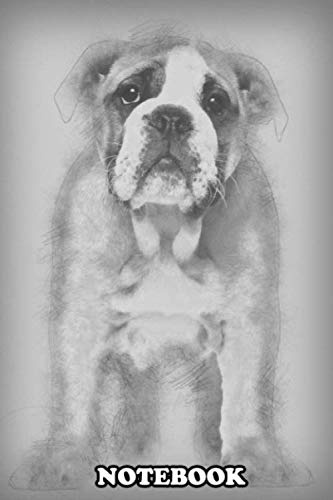 Notebook: English Bulldog Puppy 2 And A Half Months Old Standing , Journal for Writing, College Ruled Size 6 x 9, 110 Pages