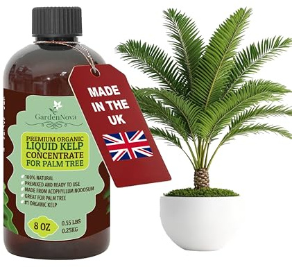 GARDENNOVA Premium Organic Seaweed & Kelp Superfood for Palm Tree Plants - 8 oz - Liquid Kelp Fertilizer Concentrate (Makes 25 Litres)