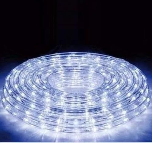 TENGDA Tira de luz Led para jardin exteriores manguera color blanco navidad, decoracion, fiesta girnalda exterior - interior waterproof LUZ BLANCA 8m Metros.