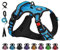 NESTROAD Hundegeschirr Kleine Hunde Blau, Anti Zug Geschirr Gepolstert Brustgeschirr für Kleine Hunde, Größe S Halsumfang 28~38CM Brustumfang 38~53CM, Reflexstreifen Brustgeschirr Hund