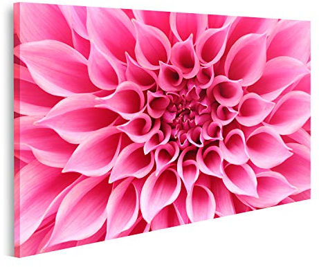 islandburner Prime Bild auf Leinwand Abstrakte Nahaufnahme (Makro) von rosa Dahlie Blume mit hübschen Blüte Bilder Wandbilder Poster