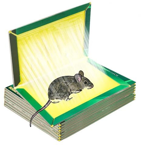 Piege a Souris, 6 Plaques Collantes Souris, Pièges à Rats, Plaques de glu Anti Rat, Attrape Professionnel 6pcs Piège Souris et à Rats