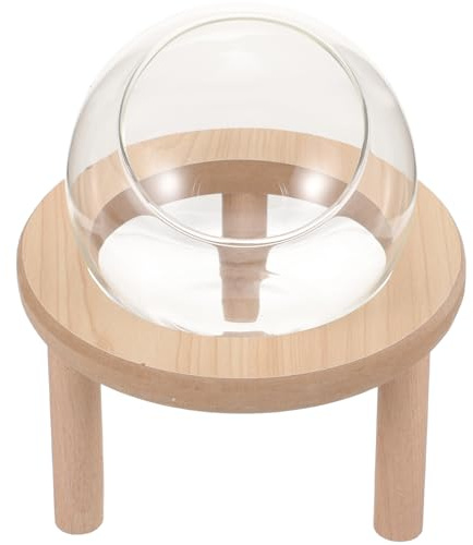 FRCOLOR Transparente Hamster Sandbadebox aus Glas mit Holzboden Leichte Sandwanne für Kleine Haustiere für Zwerghamster im Heimgebrauch