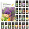 COPOWER Ätherische Öle Set 20 x 10 ml, Teebaum, Lavendel, Weihrauch, Ylang-Ylang, Zitronengras, Rosmarin, Orange, Minze, Zimt, Bergamotte, Grapefruit, Kamille,Patchouli,Tangerine,Geranium,Clove...